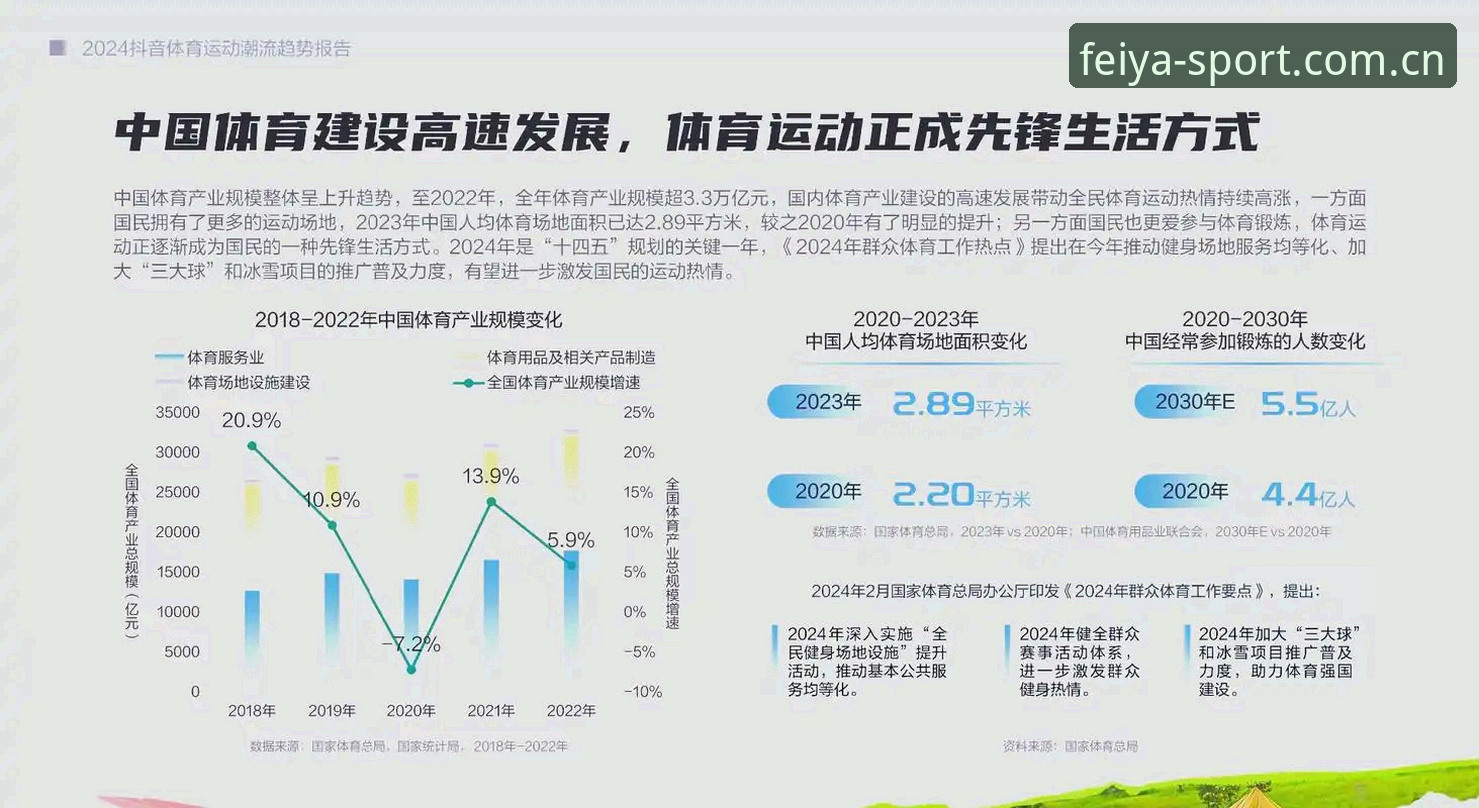 飞亚体育平台深度对比分析：2024年最新功能与用户体验全解读