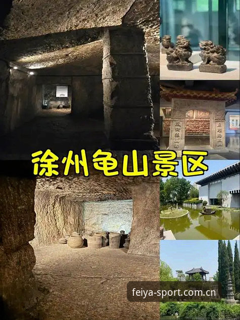 飞亚体育A8D3版详解：下载安装到安全充值的全链路解析