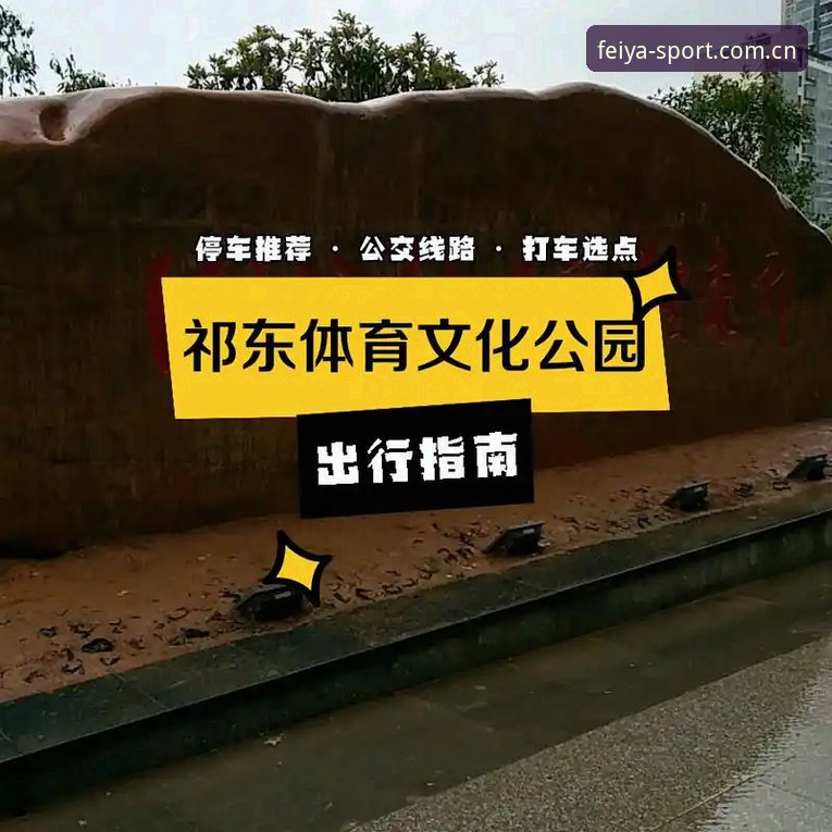 飞亚体育服务体验 飞亚体育官网服务体验完整指南:从安全充值到A8D3下载的深度解析